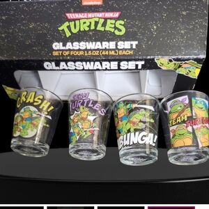 Nickelodeon TMNT Colorful Glassware Set